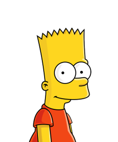 Bart-img-CompUsage
