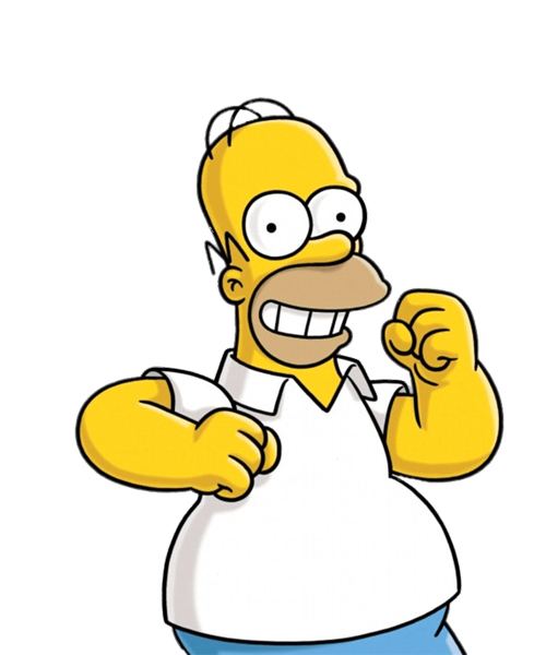 Homer-img-CompUsage